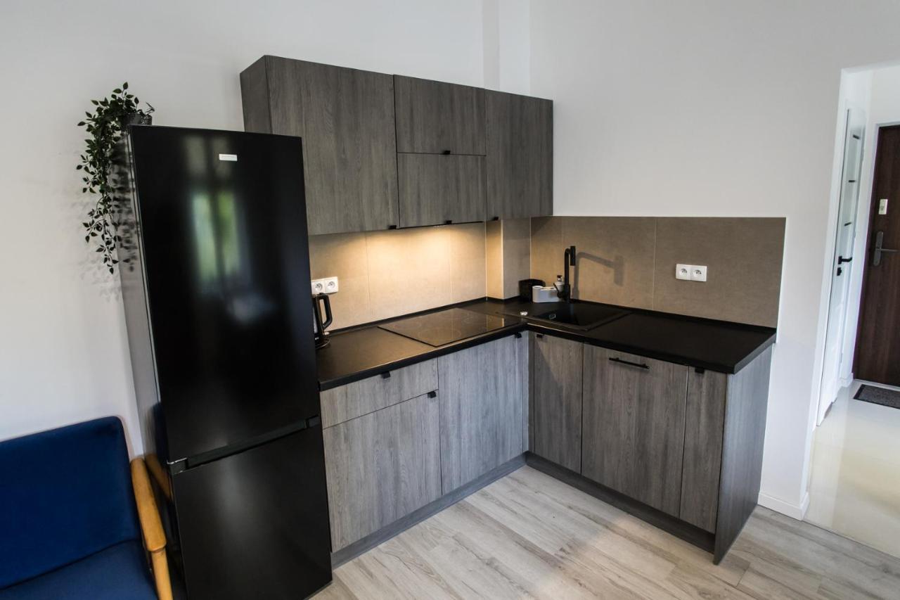 Apartament Kochanowskiego ทอรูน ภายนอก รูปภาพ
